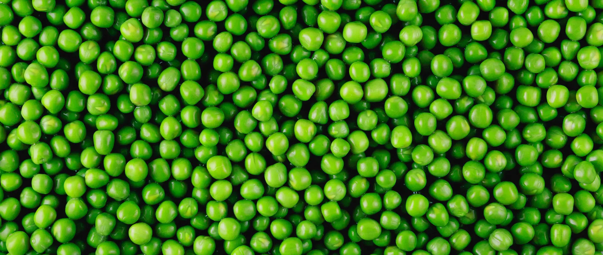 Peas high quality from Dryfo, available for Private Label, Wholesale, Custom Processing and B2B HO.RE.CA. Worldwide Delivery.